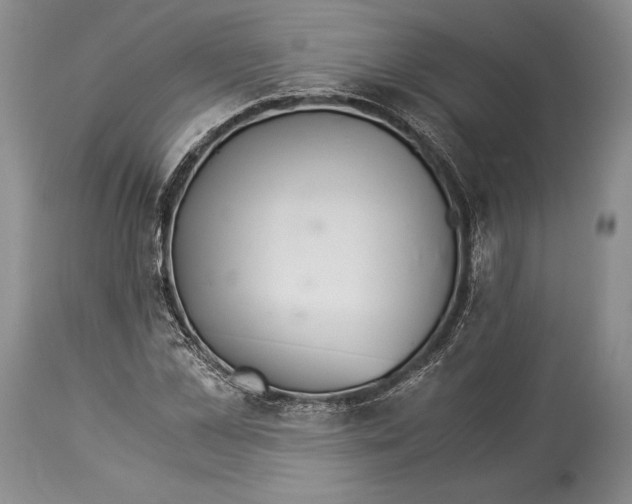 X0000113990973200910231726