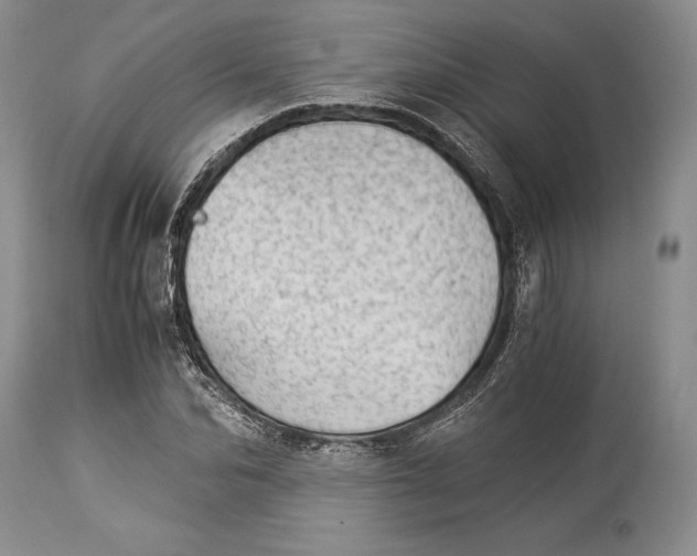 X0000113990974200910231726