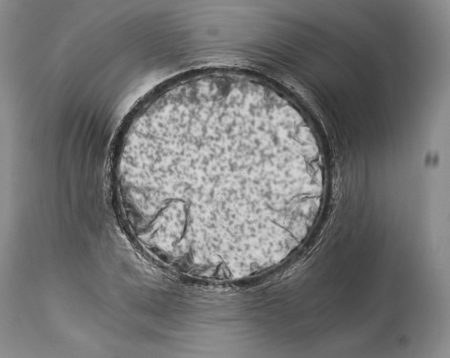 X0000113990975200910231726