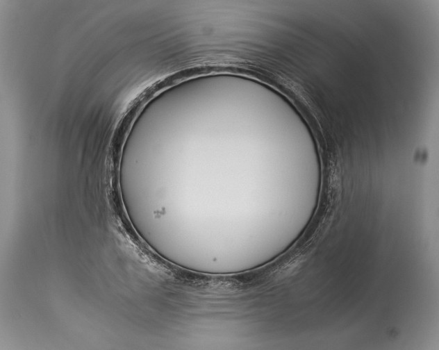 X0000113990979200910231726