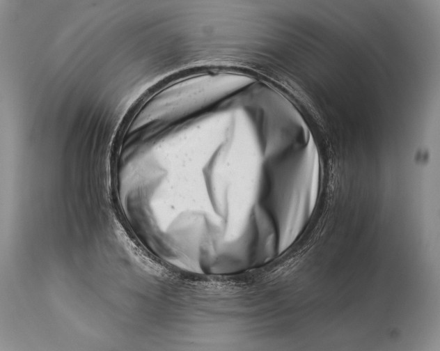 X0000113990980200910231726