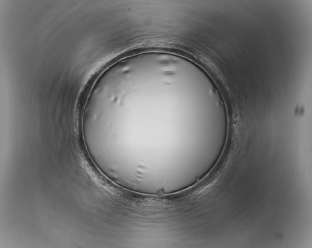 X0000113990981200910231726