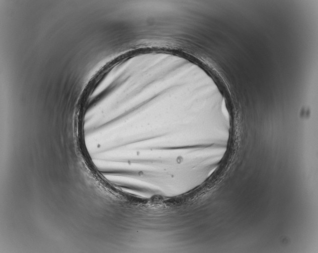 X0000113990983200910231726