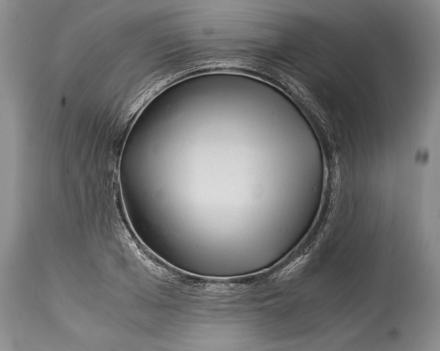 X0000113990985200910231726