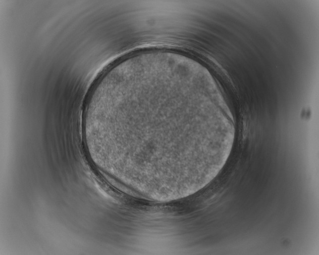 X0000113990988200910231726