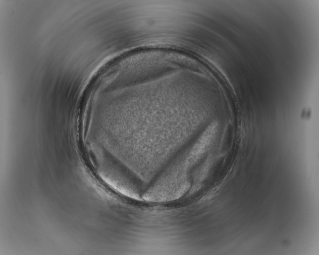 X0000113990992200910231726