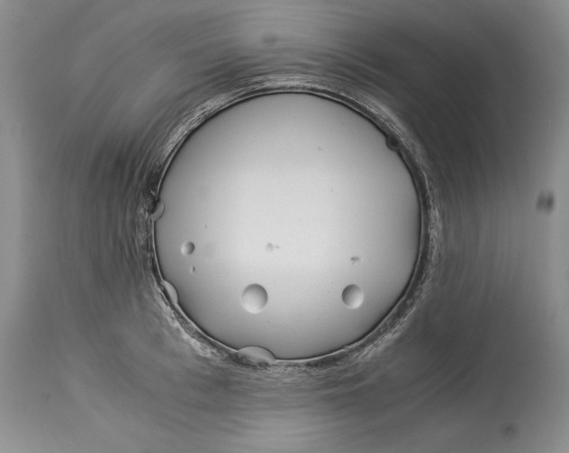 X0000113990993200910231726