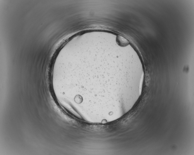 X0000113990995200910231726