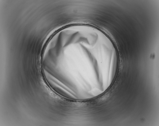 X0000113990996200910231725