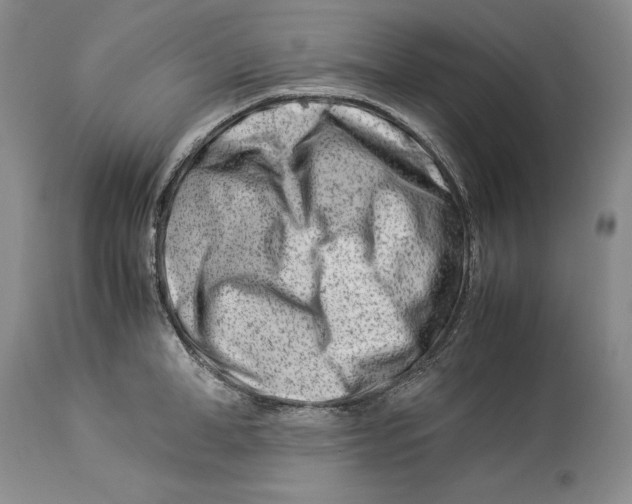 X0000113990998200910231725