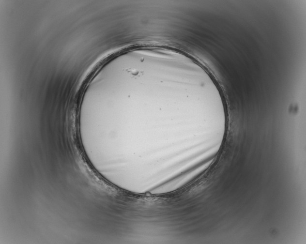 X0000113991000200910231725