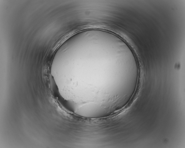 X0000113991001200910231725