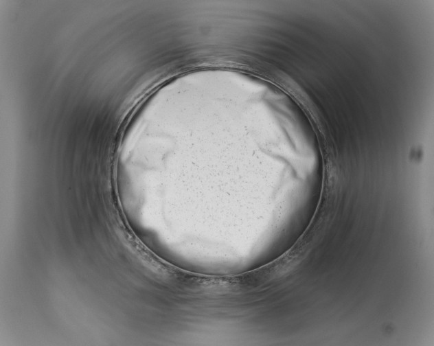 X0000113991002200910231725