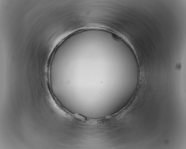 X0000113991003200910231725