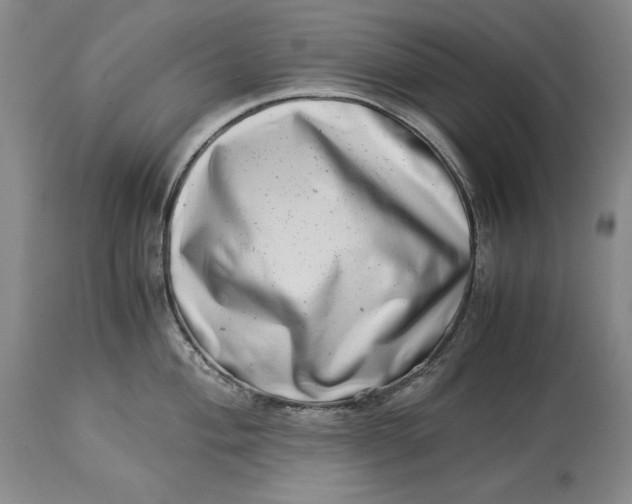 X0000113991004200910231725