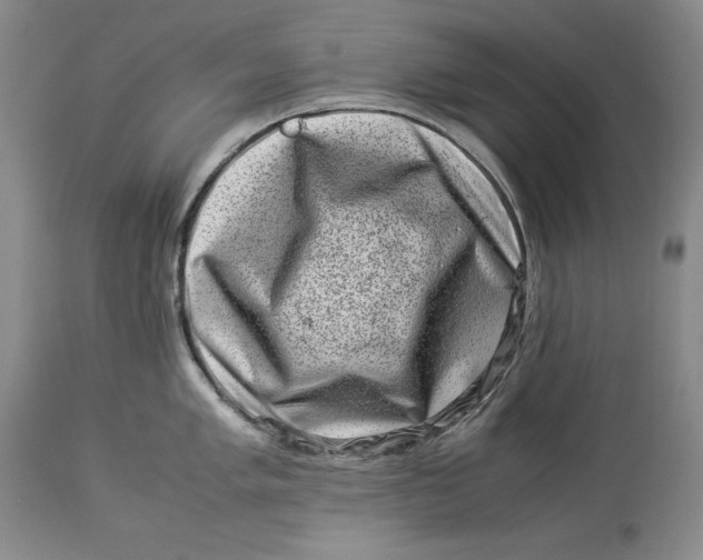 X0000113991005200910231725