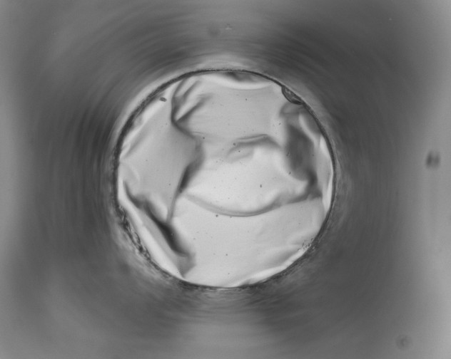 X0000113991008200910231725