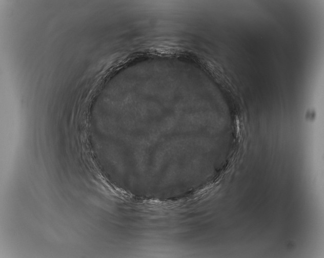 X0000113991009200910231725