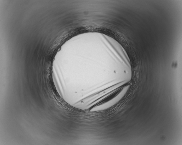 X0000113991012200910231725