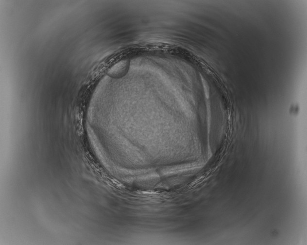 X0000113991013200910231725