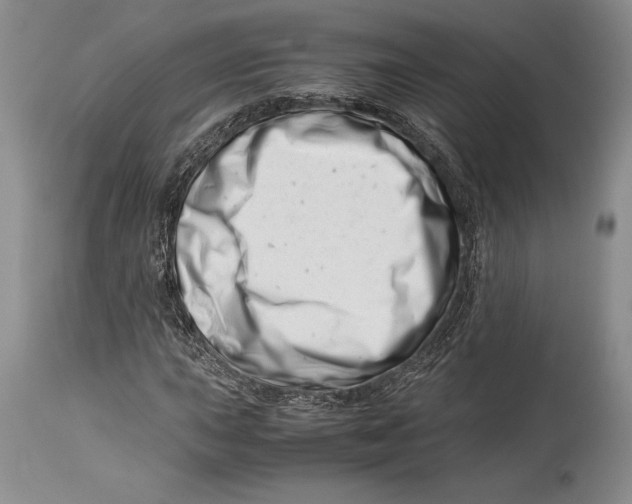 X0000113991015200910231725