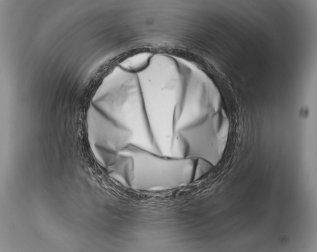 X0000113991016200910231725