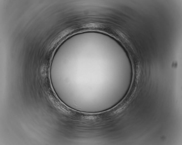 X0000113991017200910231725