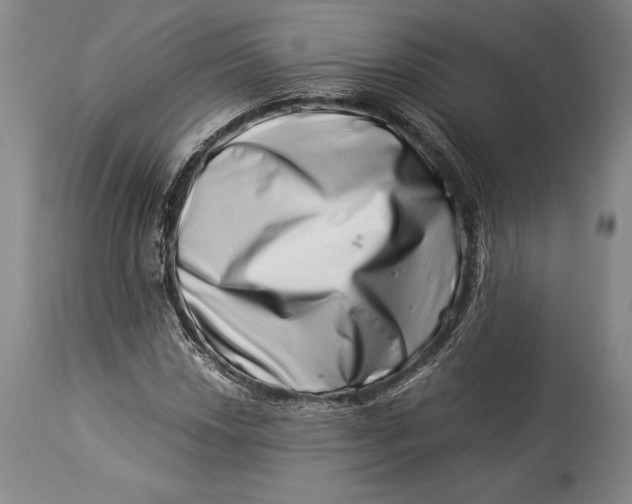 X0000113991018200910231725