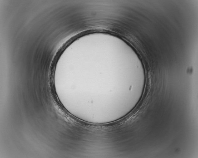 X0000113991020200910231725