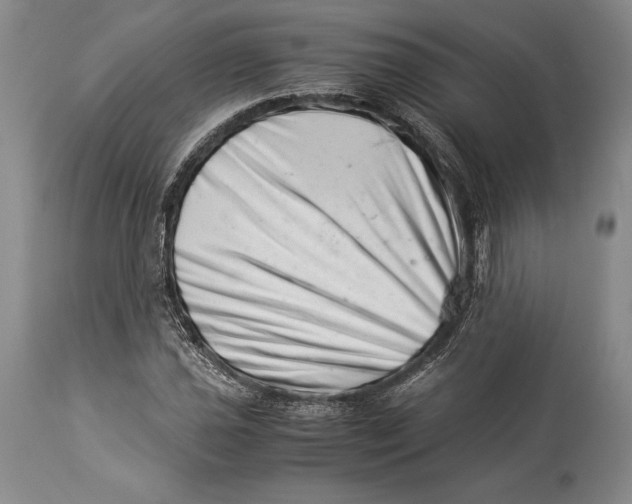 X0000113991021200910231725