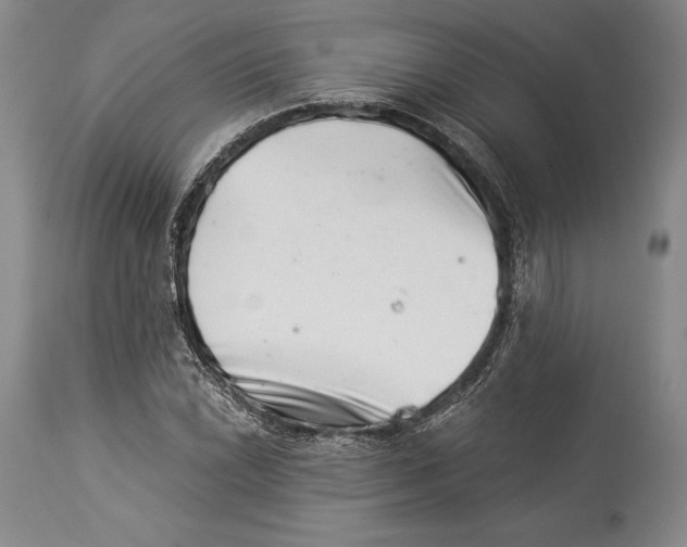 X0000113991022200910231725