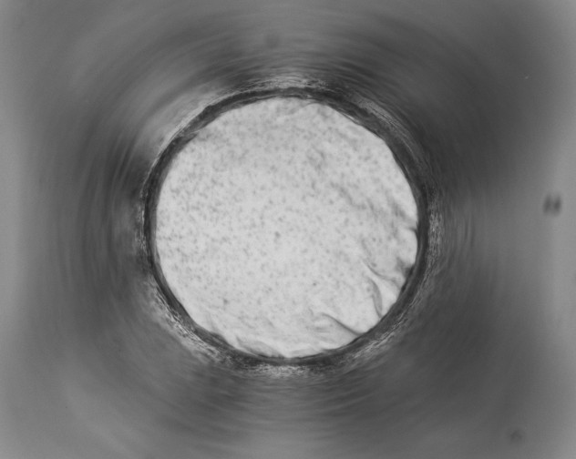 X0000113991023200910231725