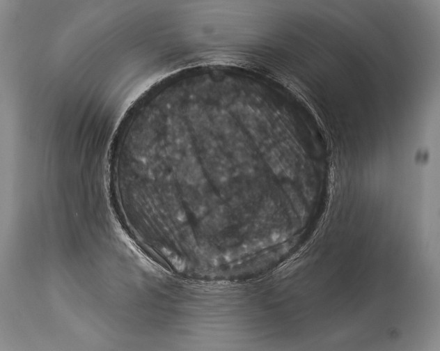 X0000113991024200910231725