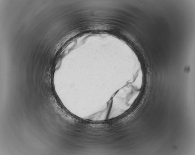 X0000113991025200910231725