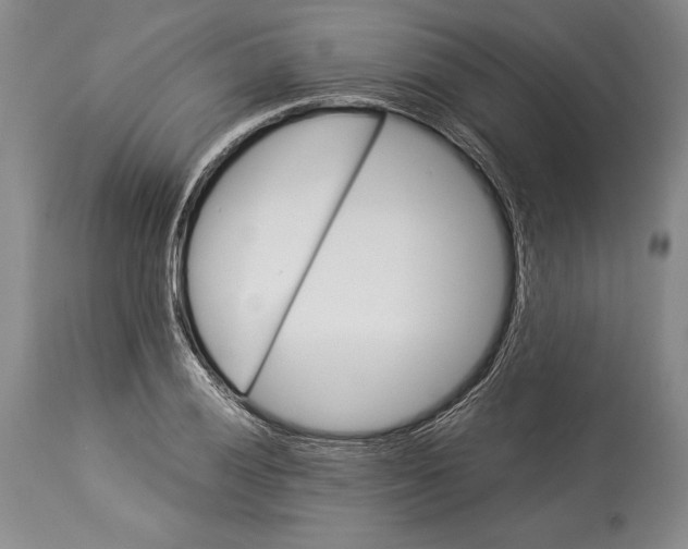 X0000113991028200910231725