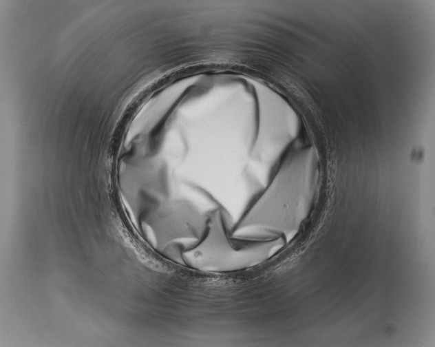 X0000113991029200910231725