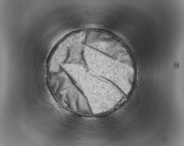 X0000113991031200910231725