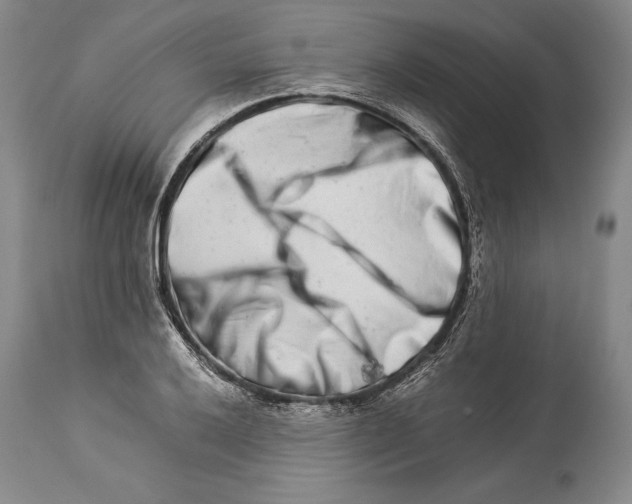 X0000113991032200910231725