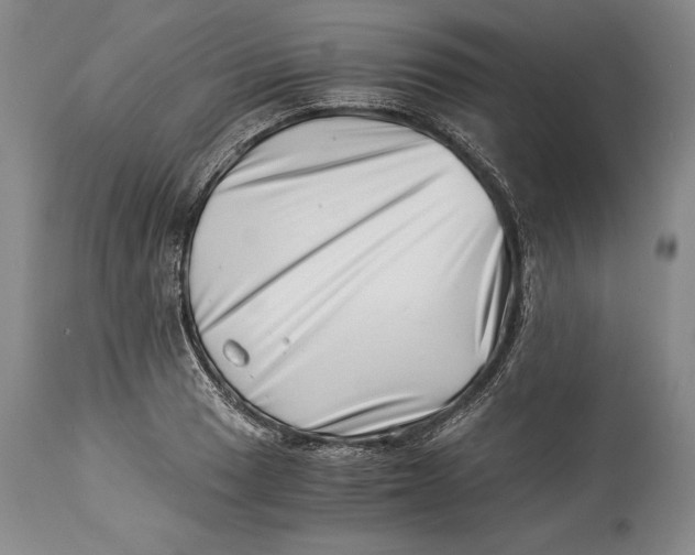 X0000113991033200910231725