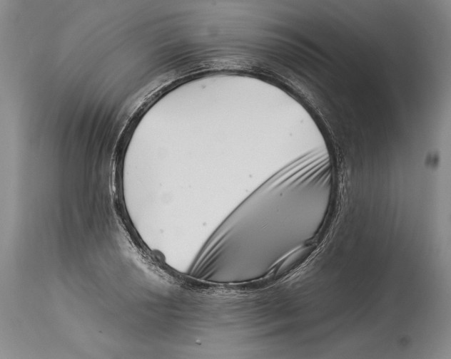 X0000113991034200910231725