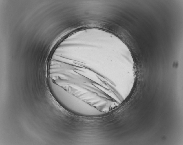 X0000113991036200910231725