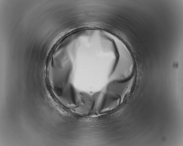 X0000113991040200910231725