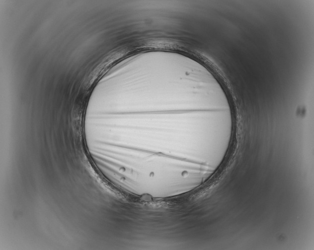 X0000113991041200910231725