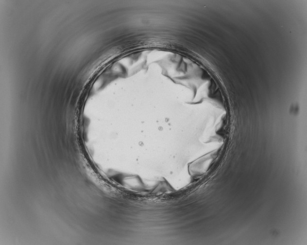 X0000113991042200910231725