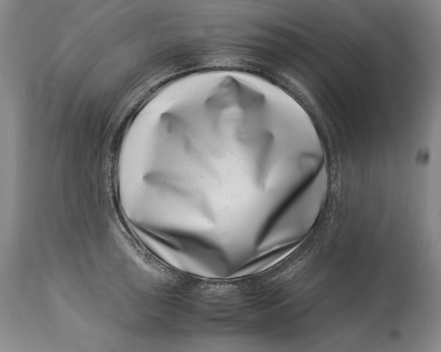 X0000113991043200910231725