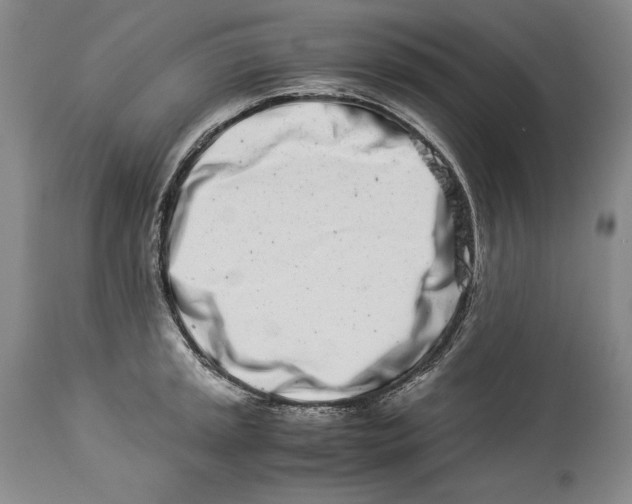 X0000113991045200910231725