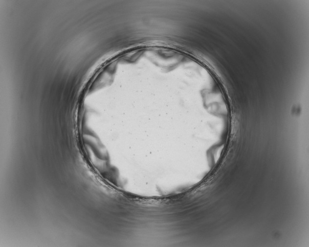 X0000113991048200910231725