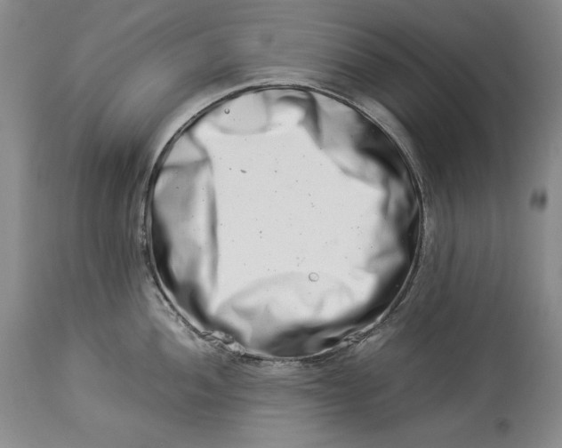 X0000113991052200910231725