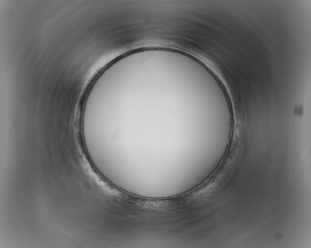 X0000113991053200910231725