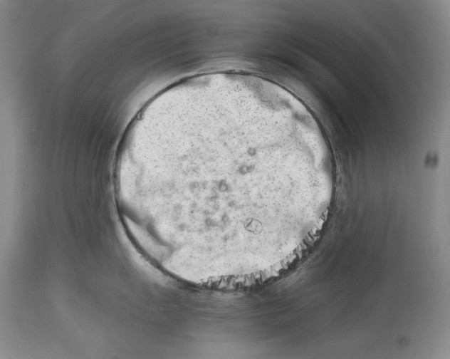 X0000113991055200910231725